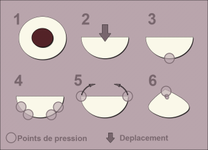 Explications pelmeni